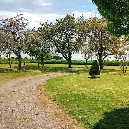 In Derce Champau